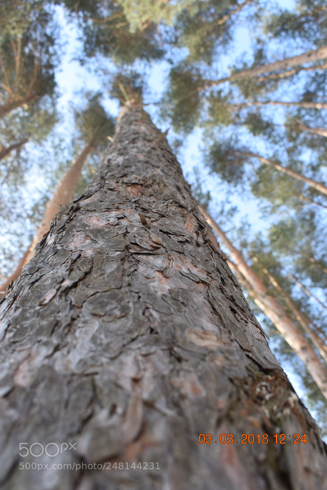 Nikon D3400 sample photo. Untitled photography