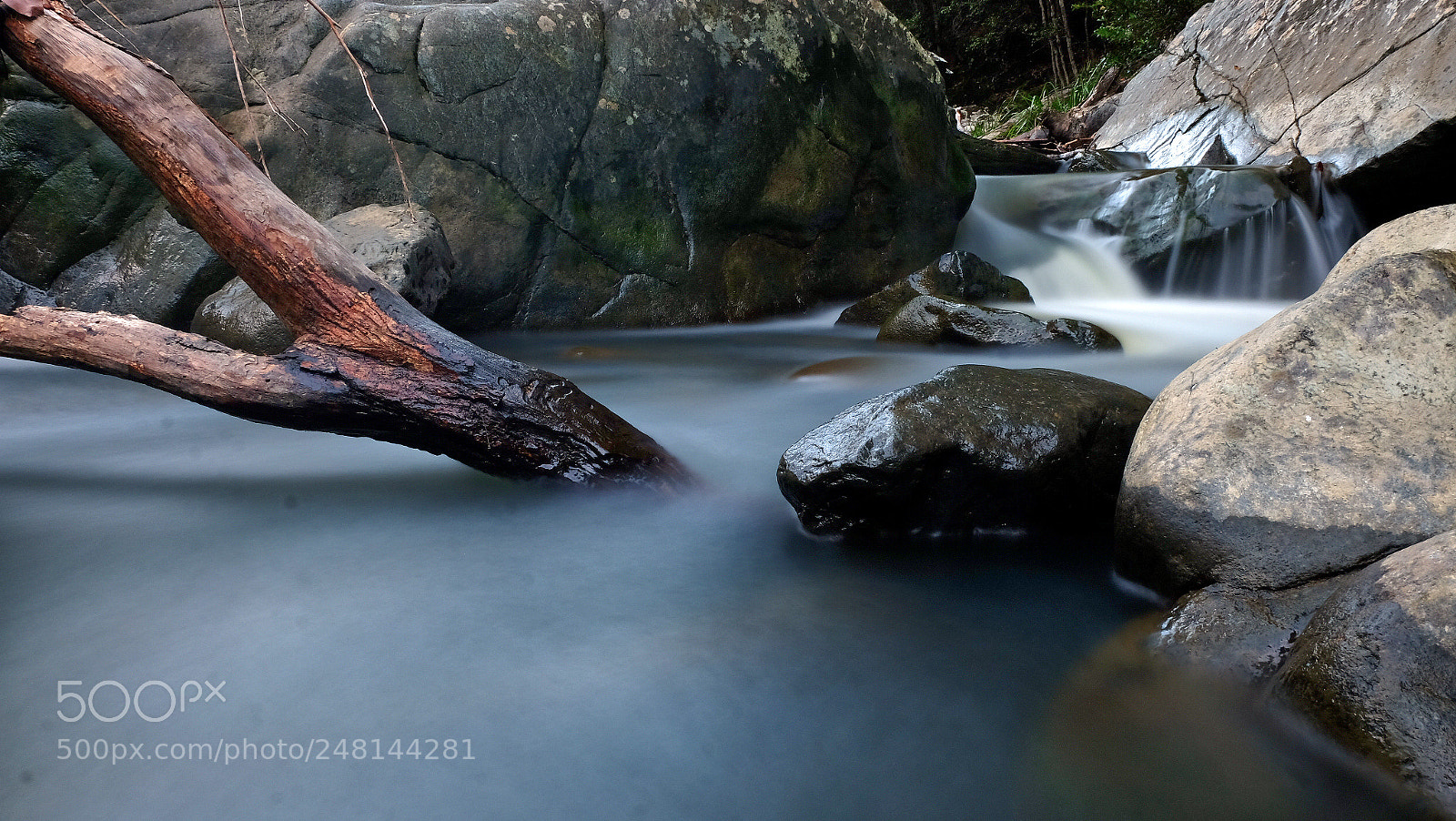 Fujifilm X-T10 sample photo. Untitled photography