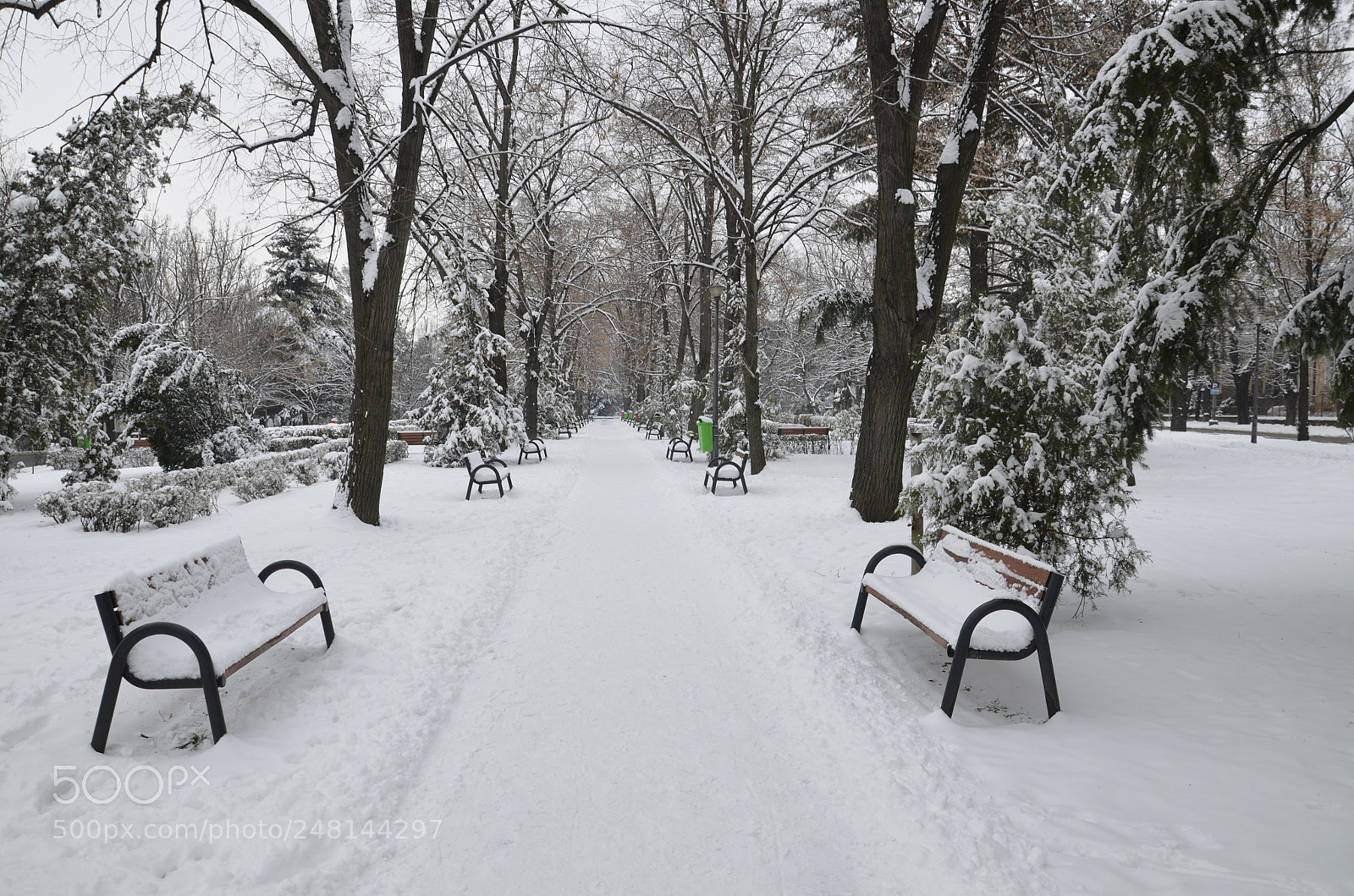 Nikon D5100 sample photo. White park photography