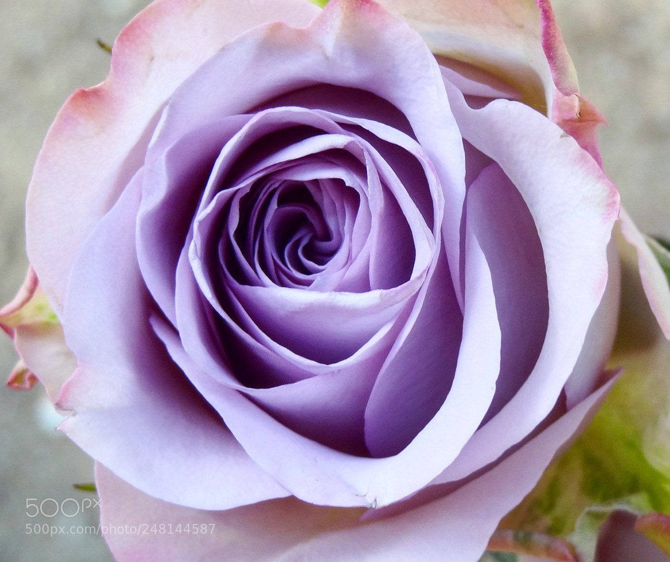 Sony Cyber-shot DSC-HX9V sample photo. Img photography