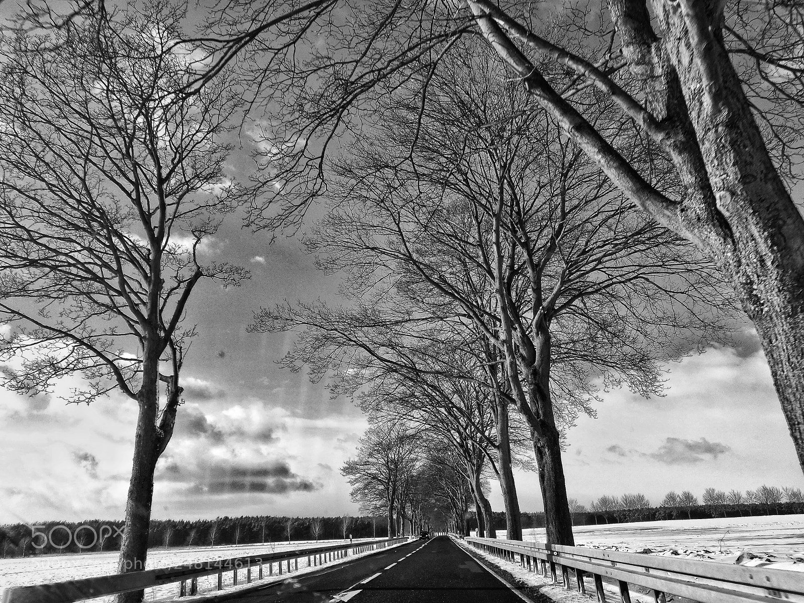 HUAWEI P9 sample photo. Untitled photography