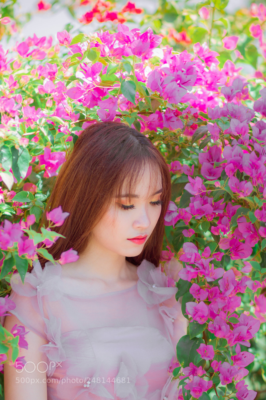 Canon EOS 60D sample photo. Huỳnh mai photography