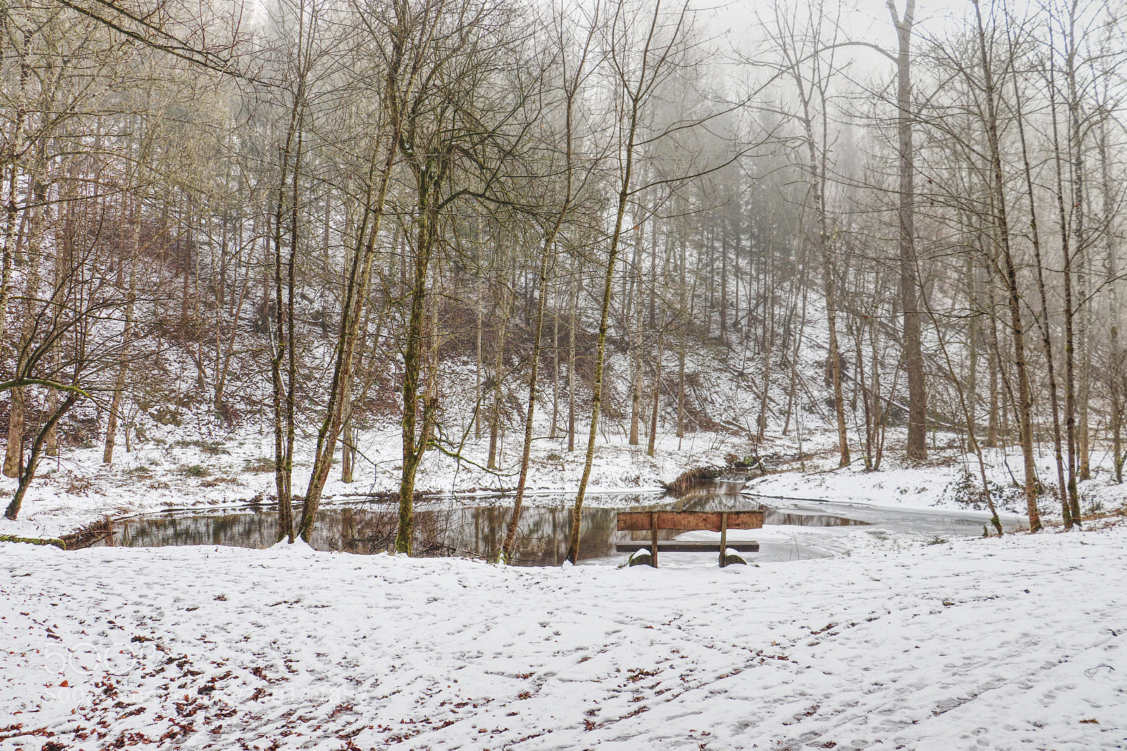 Canon EOS 77D (EOS 9000D / EOS 770D) sample photo. Teich im winter photography