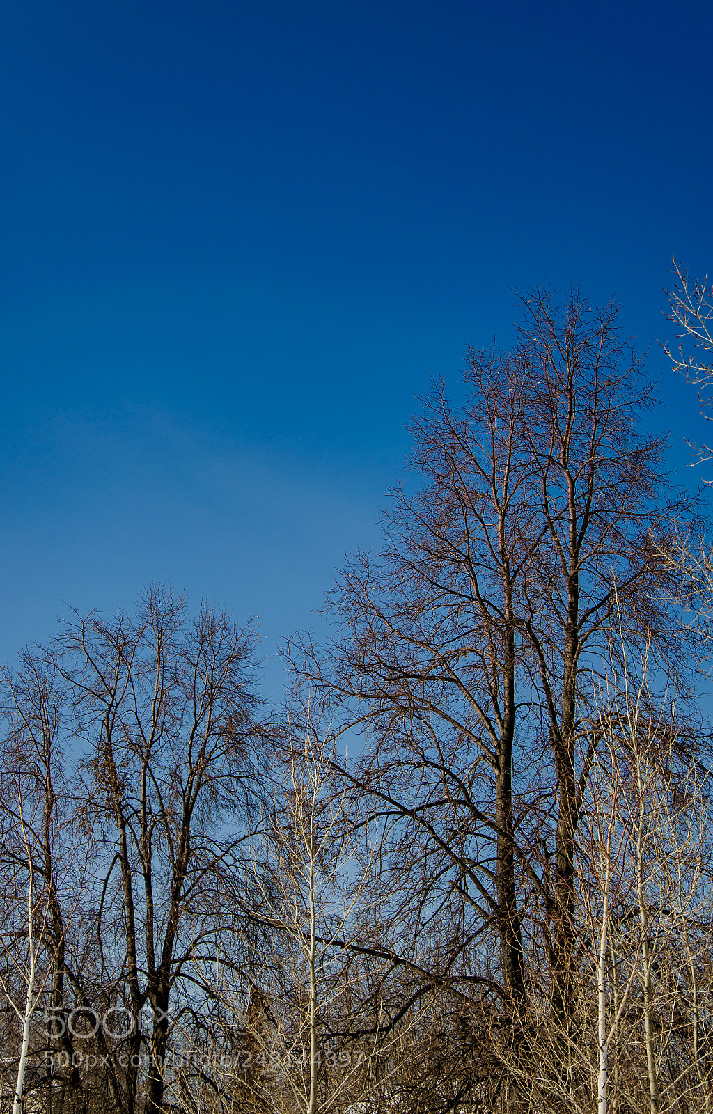 Nikon D5100 sample photo. Sky photography