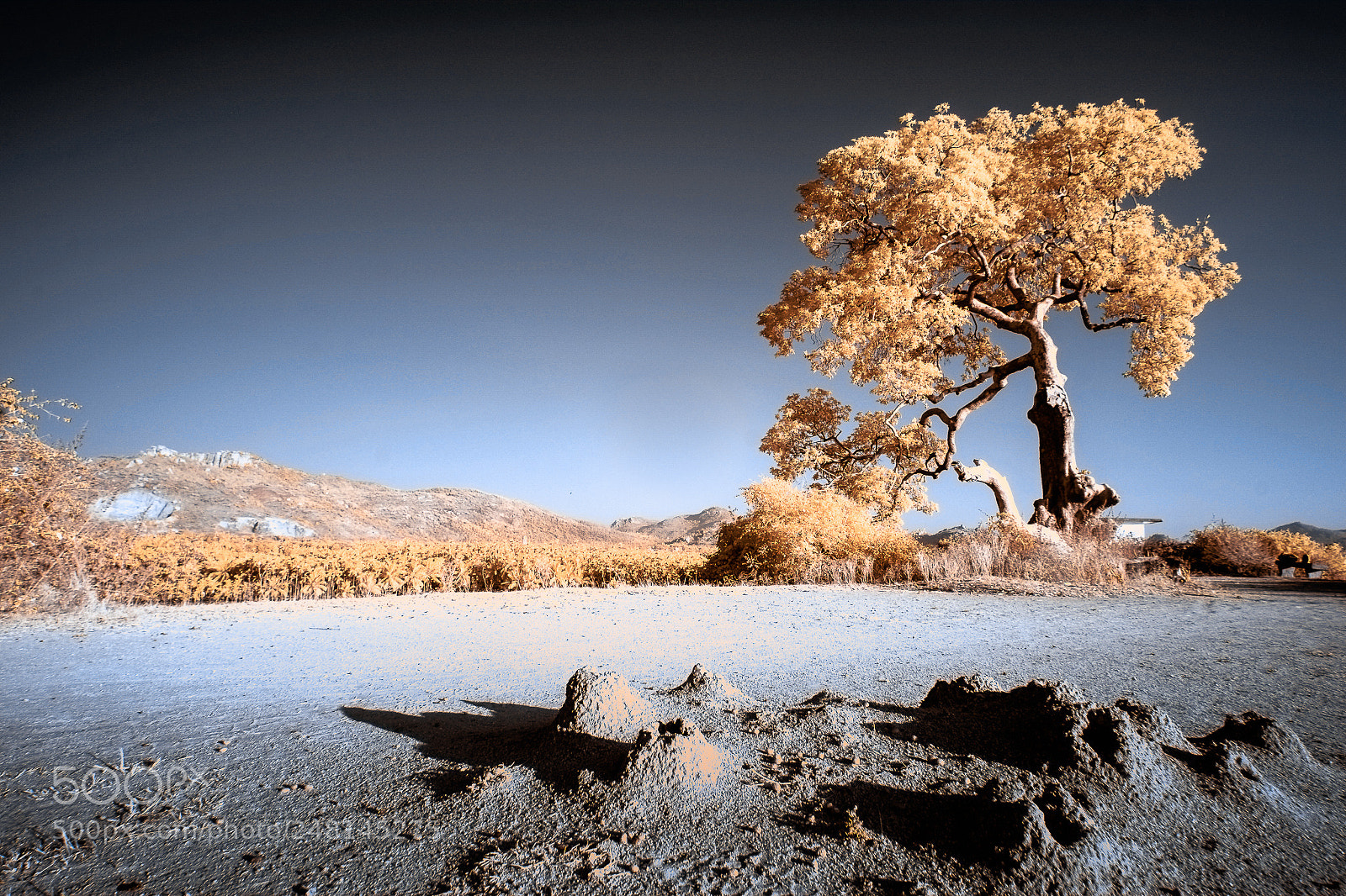Fujifilm X-E1 sample photo. Landscape in ir photography