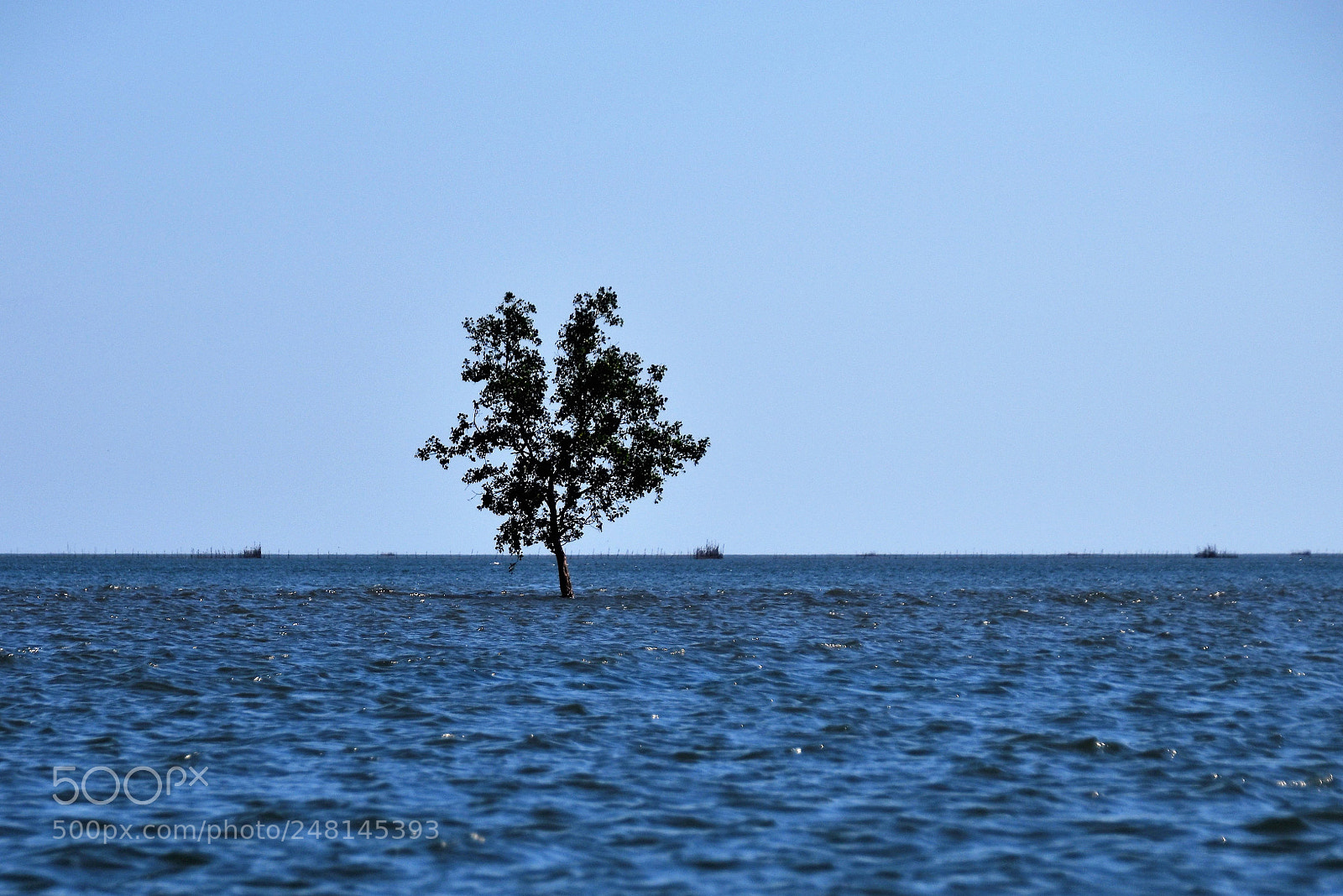 Nikon D5500 sample photo. () photography