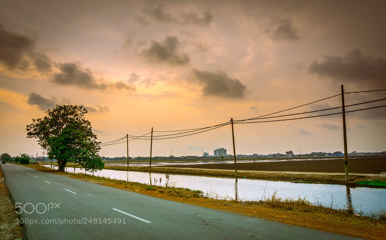 Sony Alpha NEX-5T sample photo. Lonely road photography