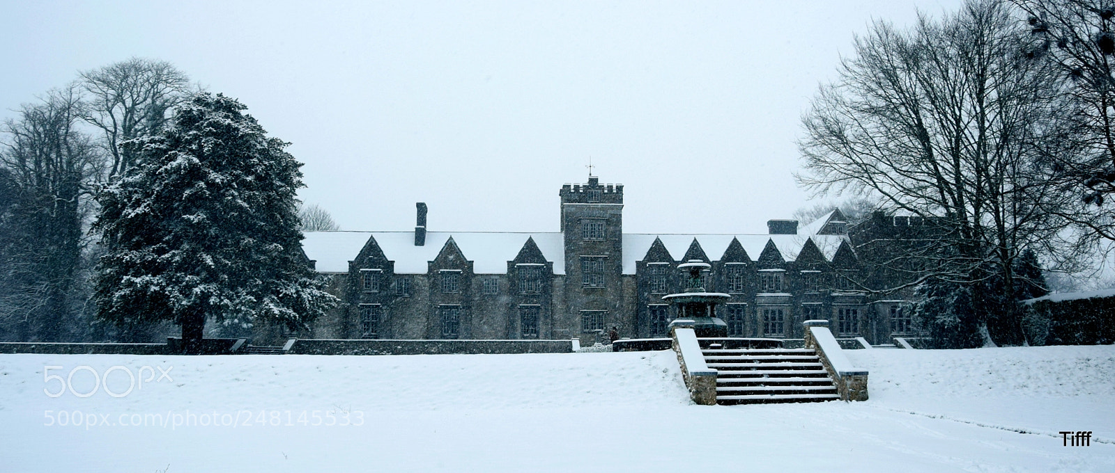 Nikon D5300 sample photo. Castle mallow photography