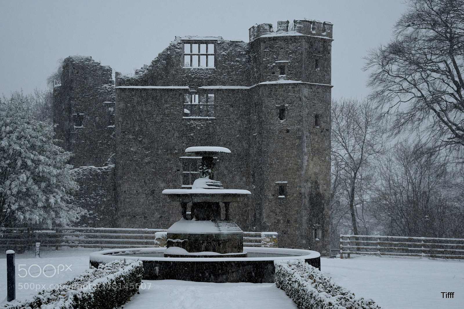 Nikon D5300 sample photo. Castle mallow photography