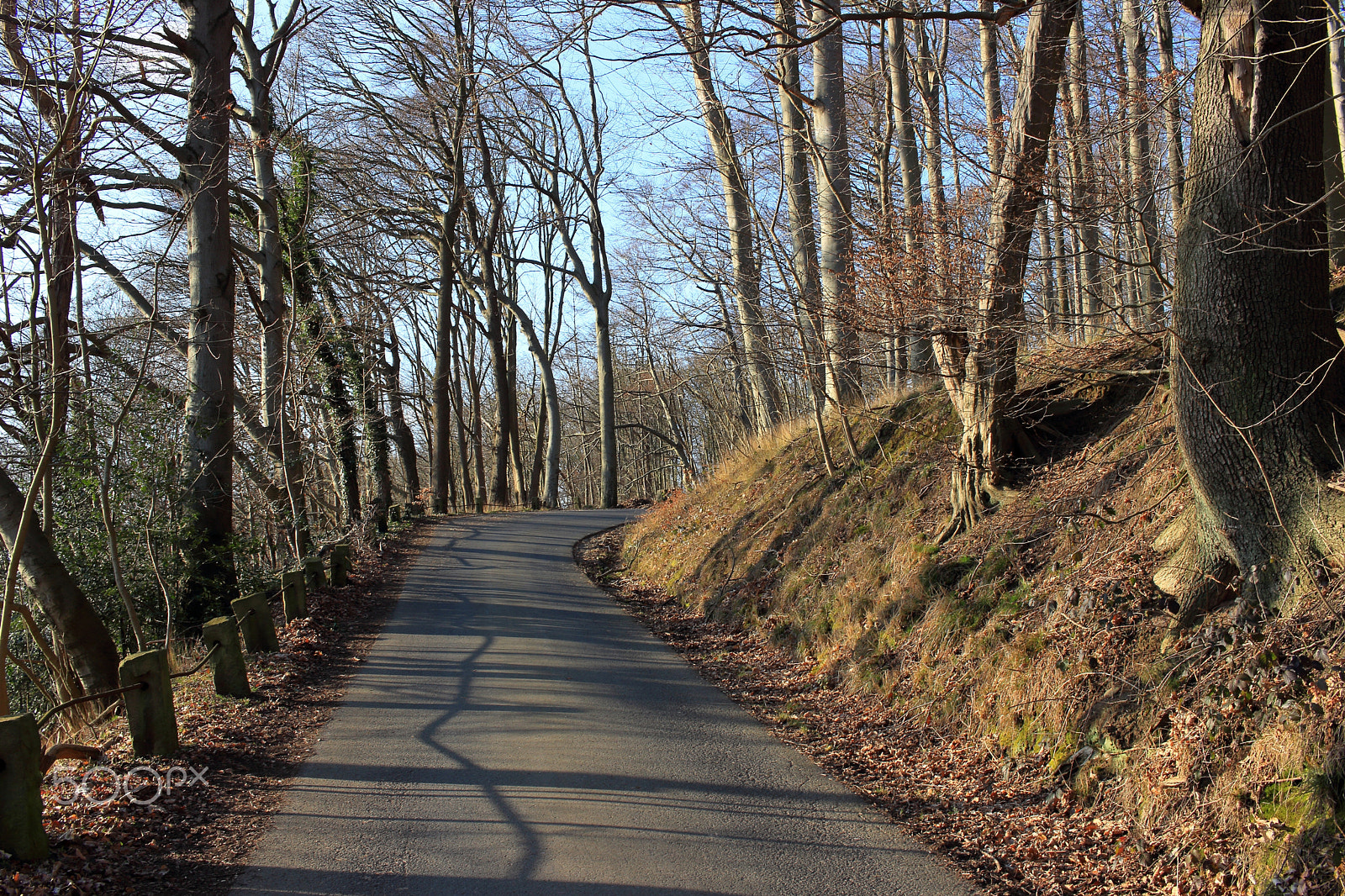 Canon EF-S 24mm F2.8 STM sample photo. Pathes (40) photography