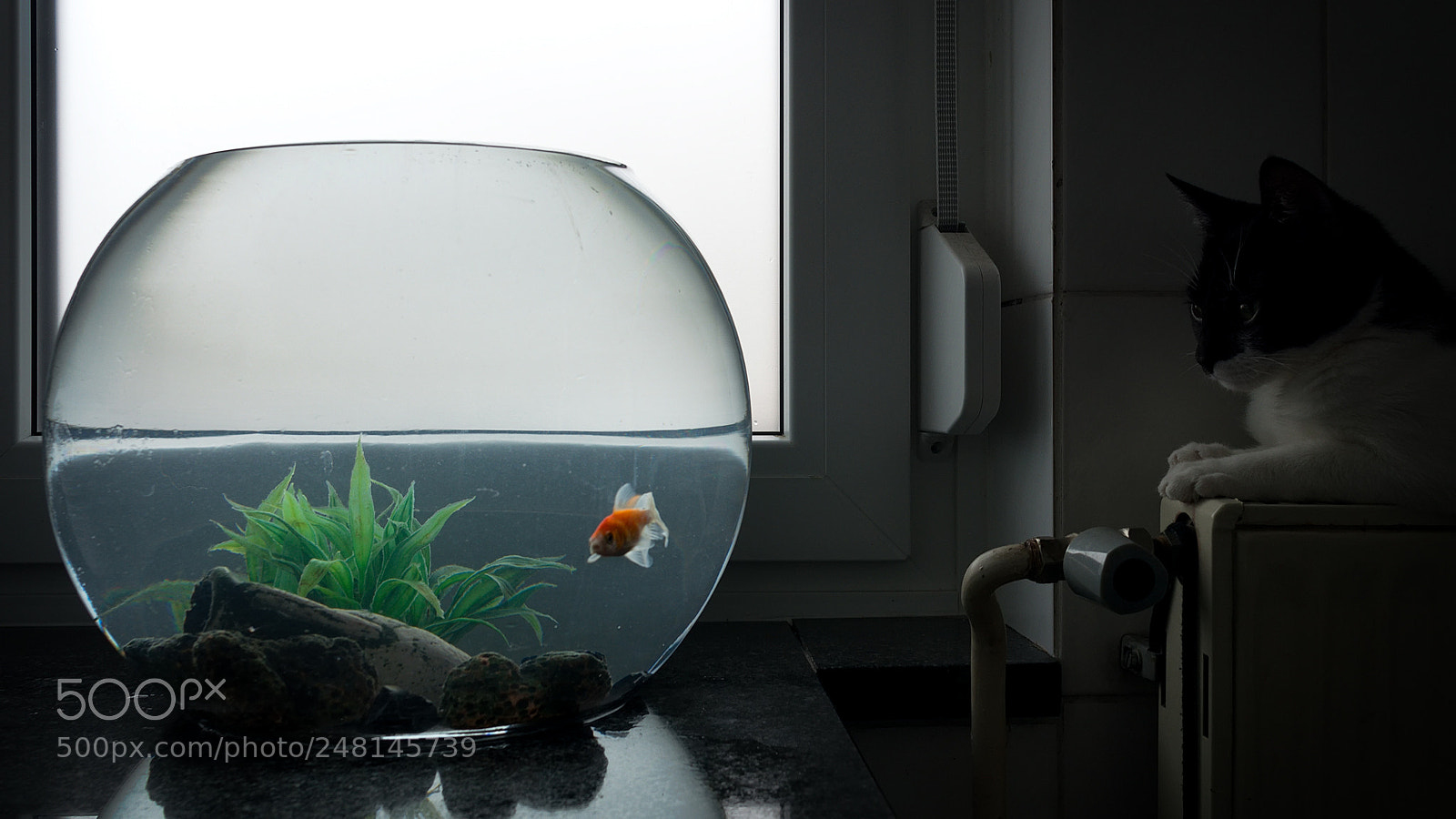 Pentax K-5 II sample photo. Fishing channel photography