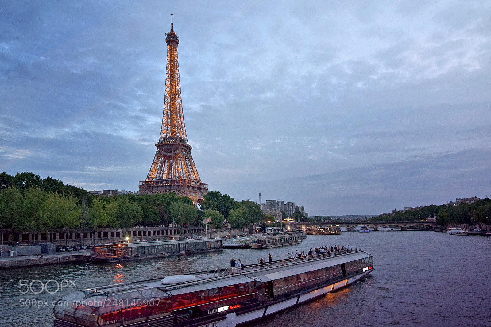 Nikon D5300 sample photo. Seine, paris photography