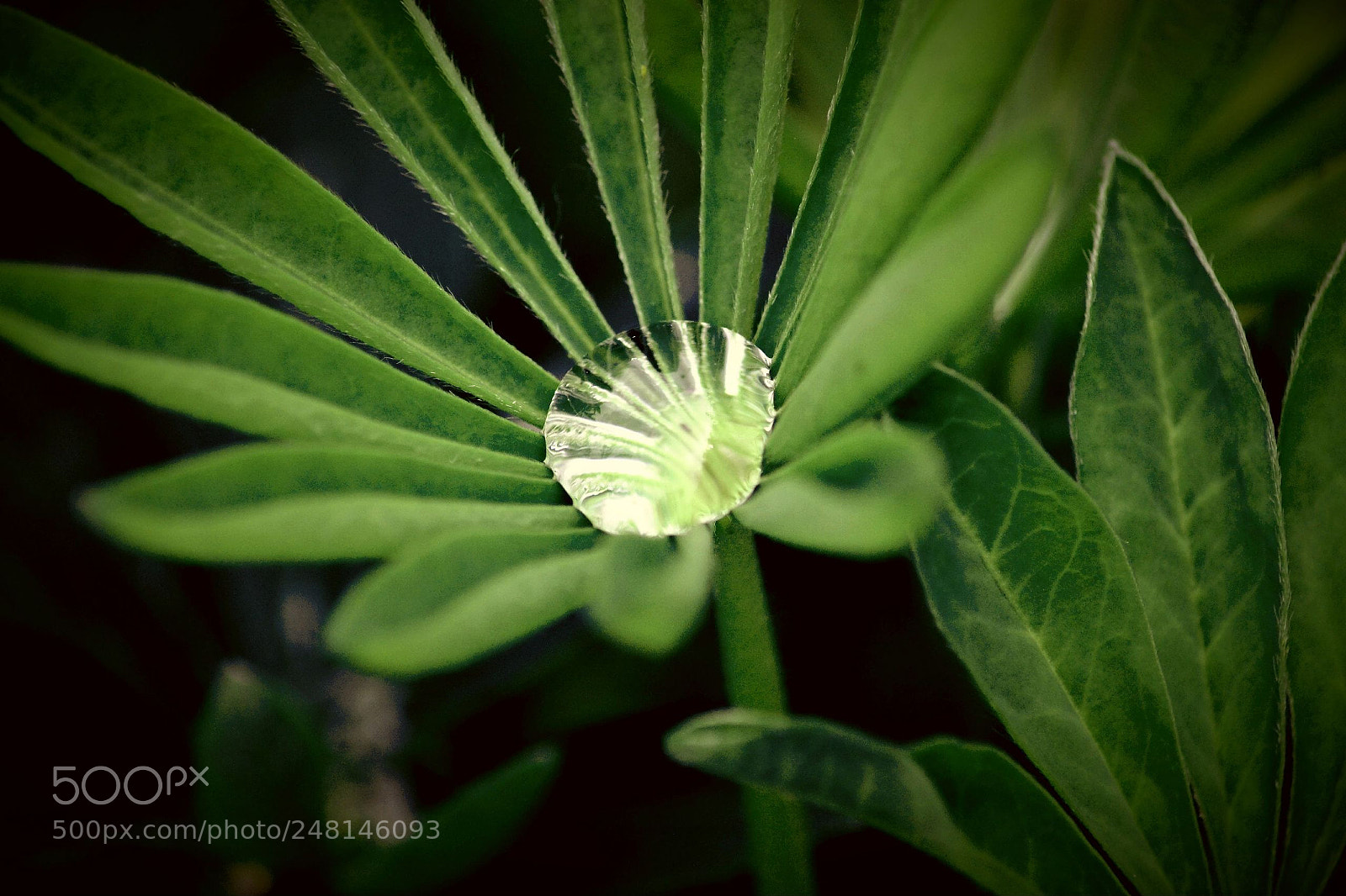 Nikon D3100 sample photo. Untitled photography