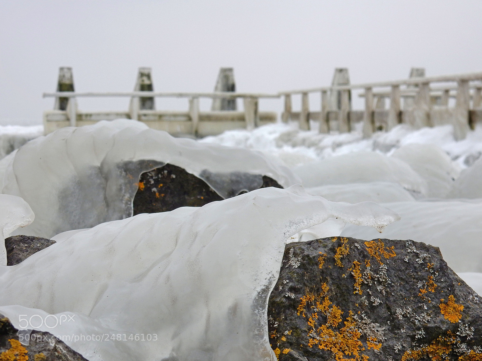 Nikon Coolpix S9900 sample photo. Ice..ice photography