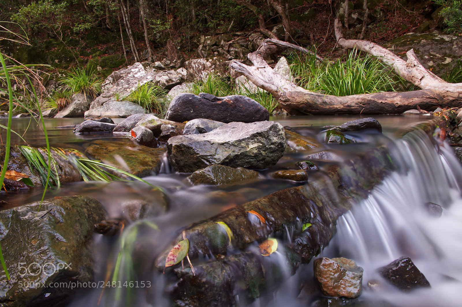 Fujifilm X-T10 sample photo. Stoney creek photography