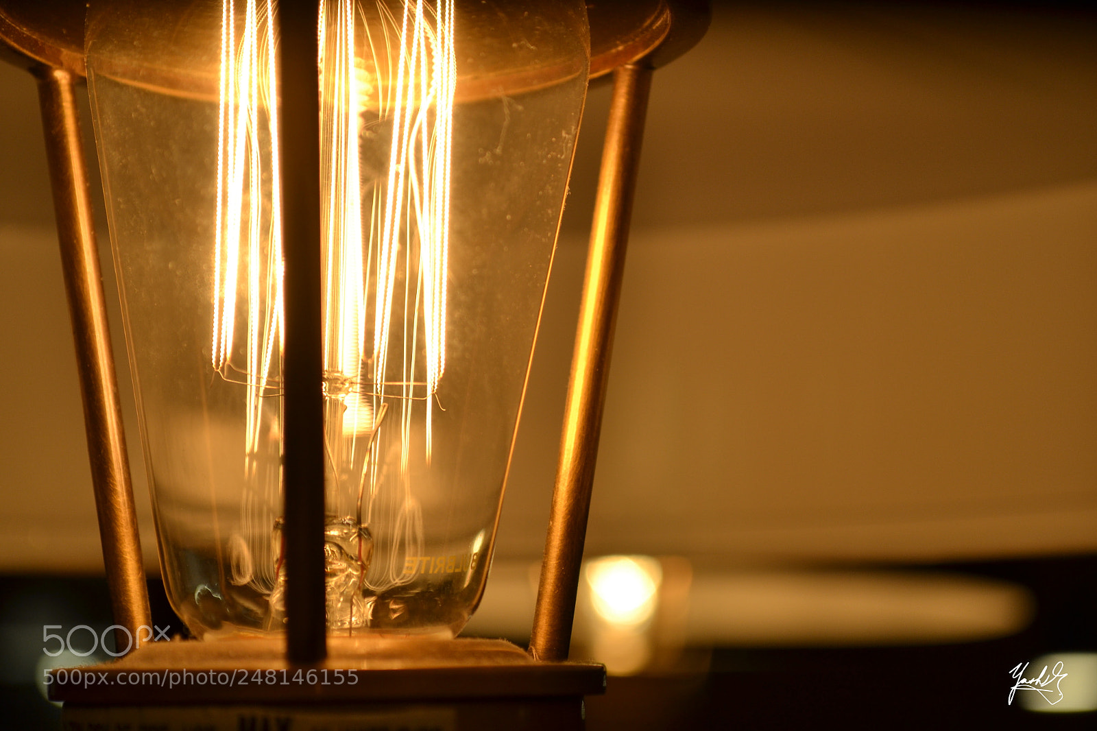 Nikon D3100 sample photo. Electric life photography