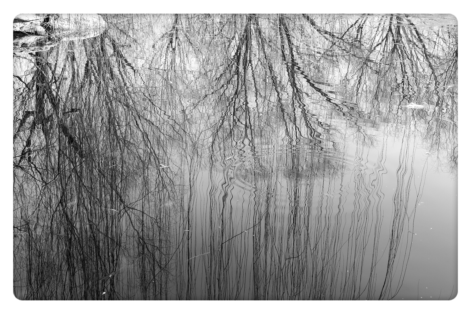 Leica M-Monochrom sample photo. 无题 photography