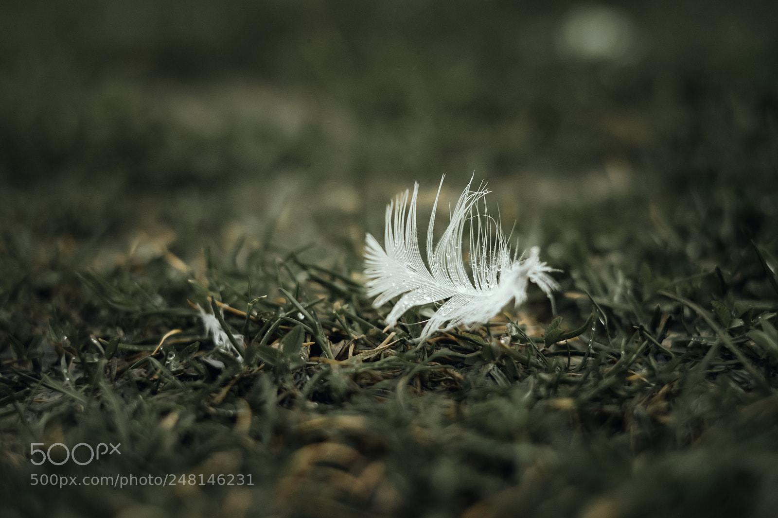 Fujifilm X-T2 sample photo. Img0943 photography