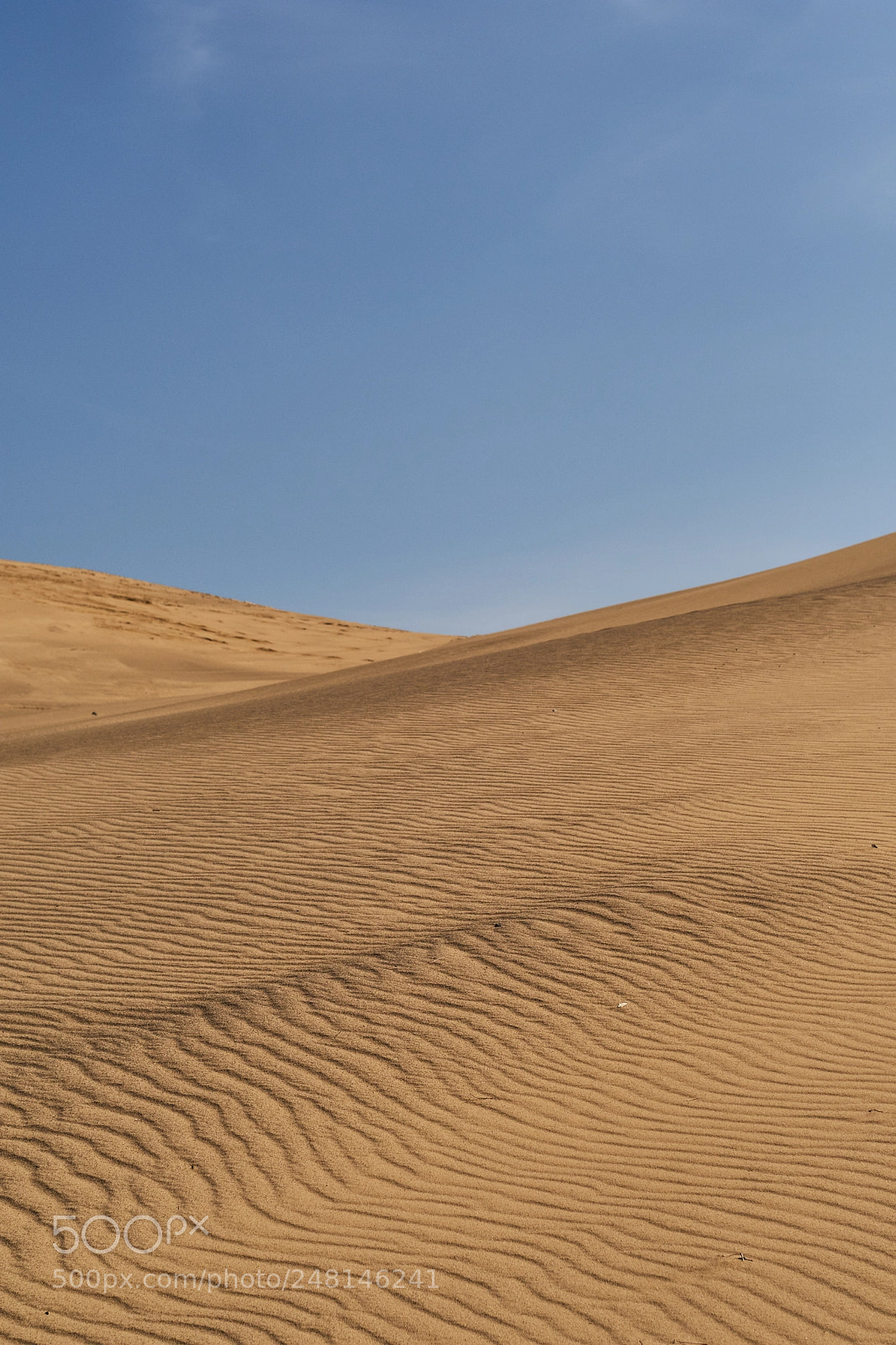 Fujifilm X-Pro2 sample photo. Japanese desert photography