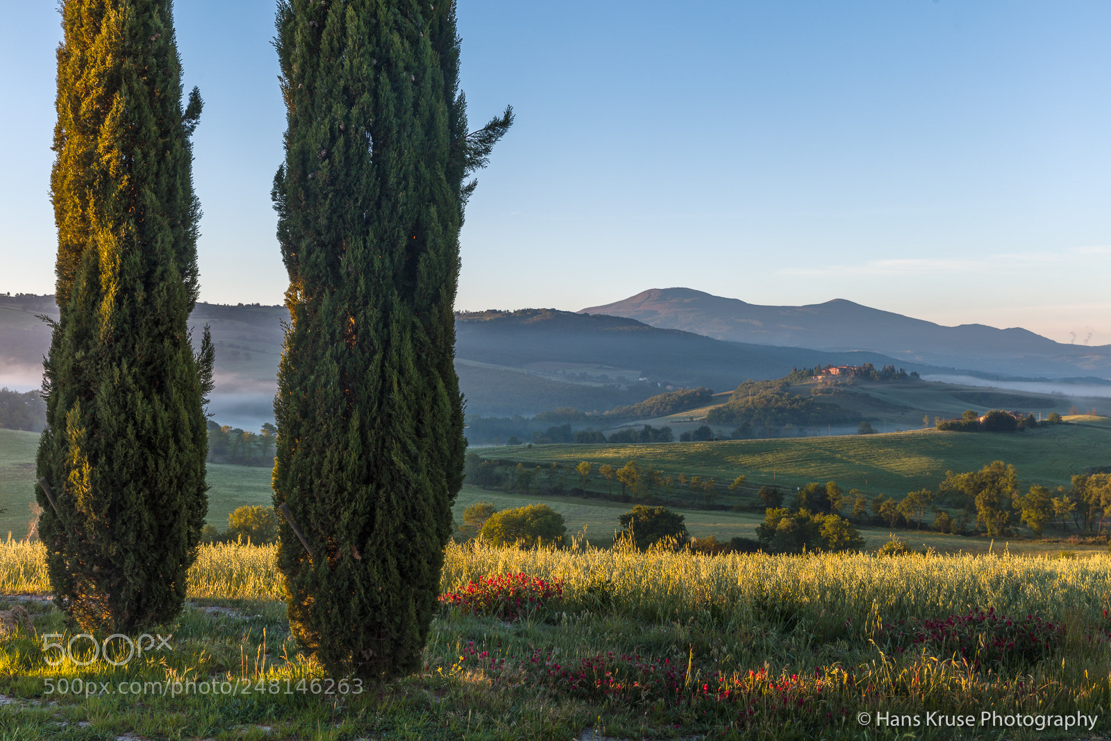 Canon EOS 5DS R sample photo. Morning light photography