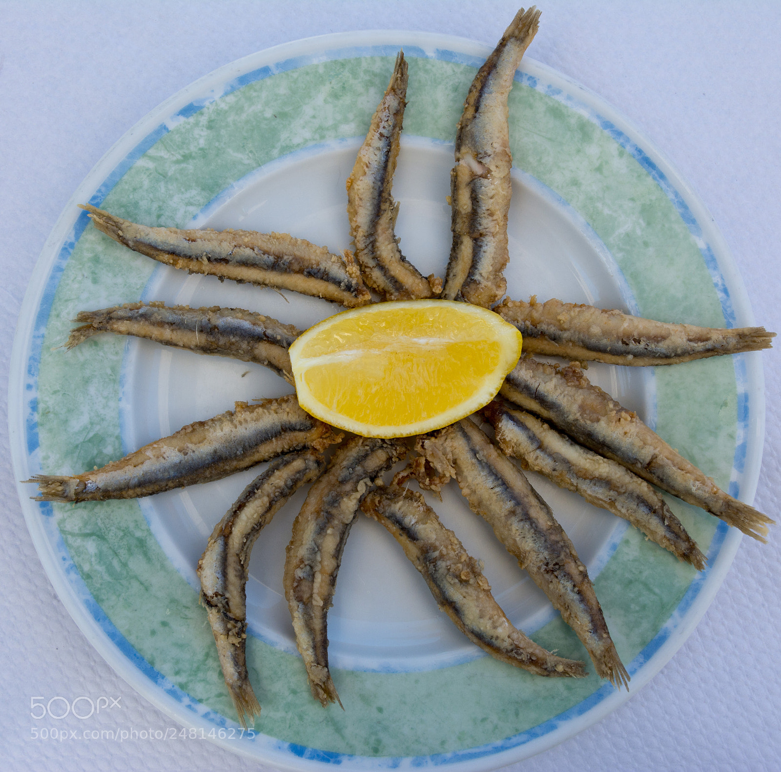 Nikon D7100 sample photo. Sardines art photography