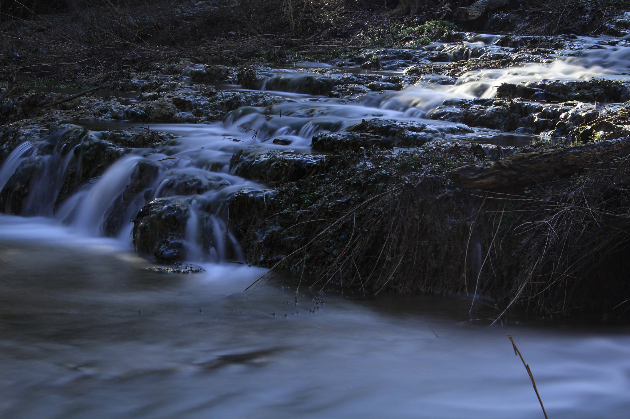 Canon EOS 600D (Rebel EOS T3i / EOS Kiss X5) sample photo. Mg photography