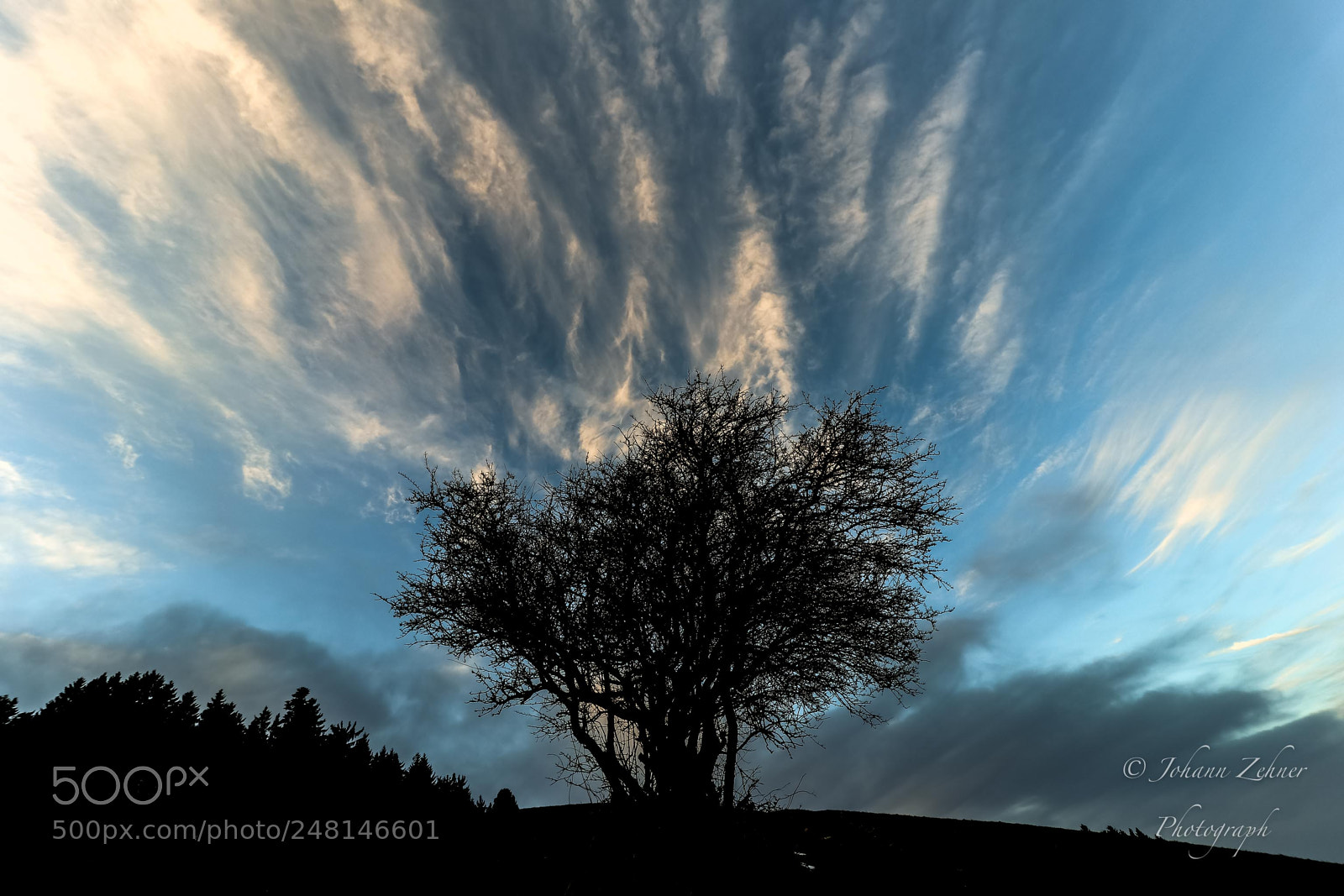 Canon EOS 760D (EOS Rebel T6s / EOS 8000D) sample photo. Winterlich photography