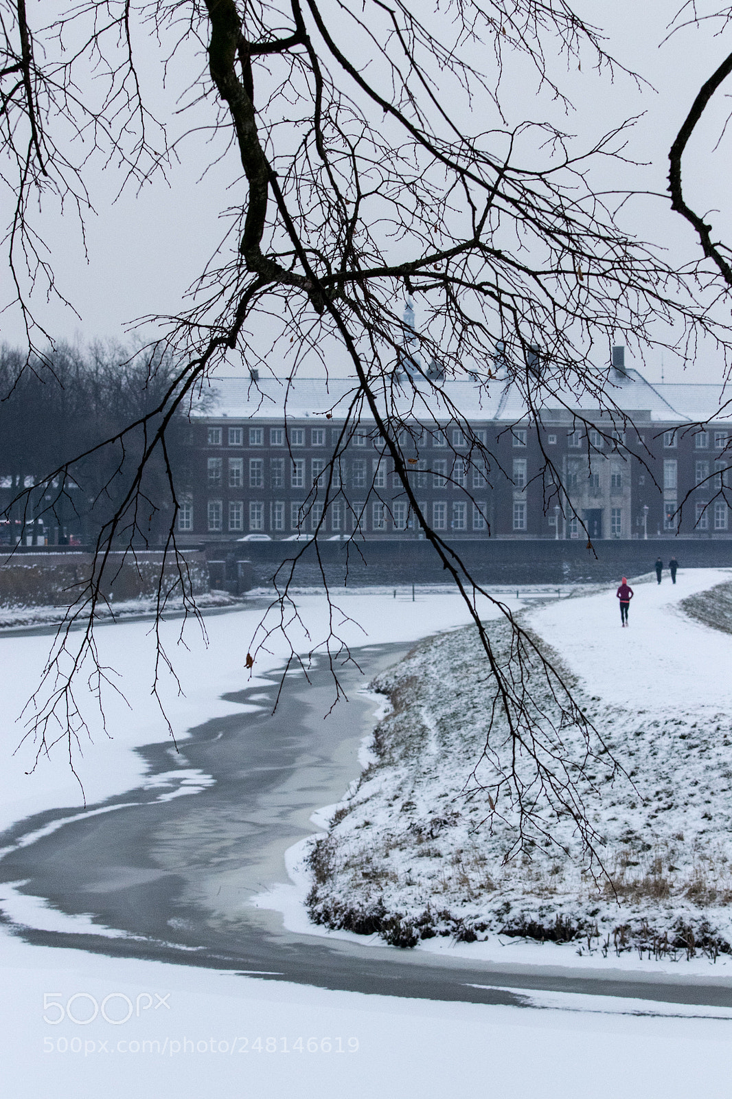 Canon EOS 77D (EOS 9000D / EOS 770D) sample photo. A white day in photography