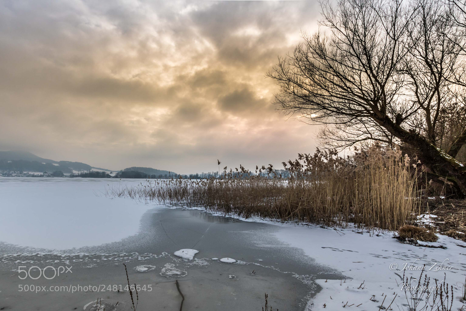 Canon EOS 760D (EOS Rebel T6s / EOS 8000D) sample photo. Winterlich photography