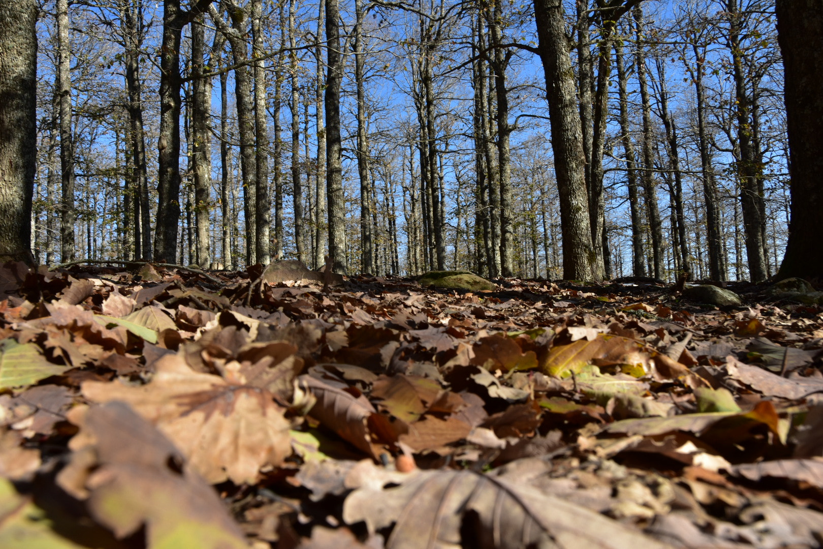 Nikon D3400 sample photo