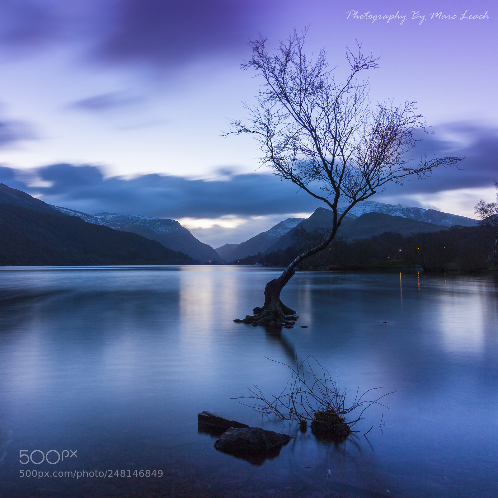 Canon EOS 50D sample photo. Lone tree photography