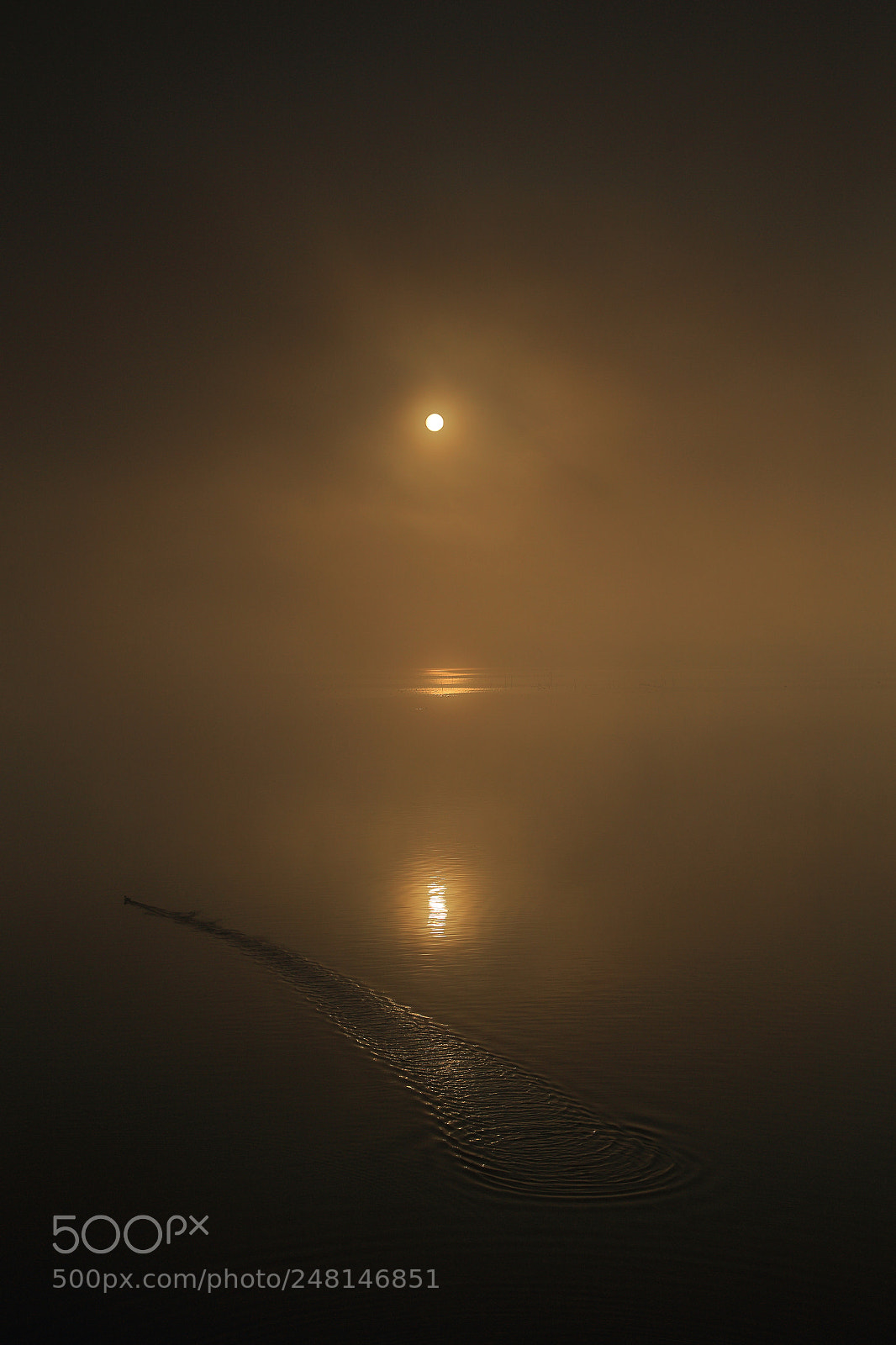 Canon EOS 6D + Canon EF 24-105mm F4L IS USM sample photo. Ripple photography