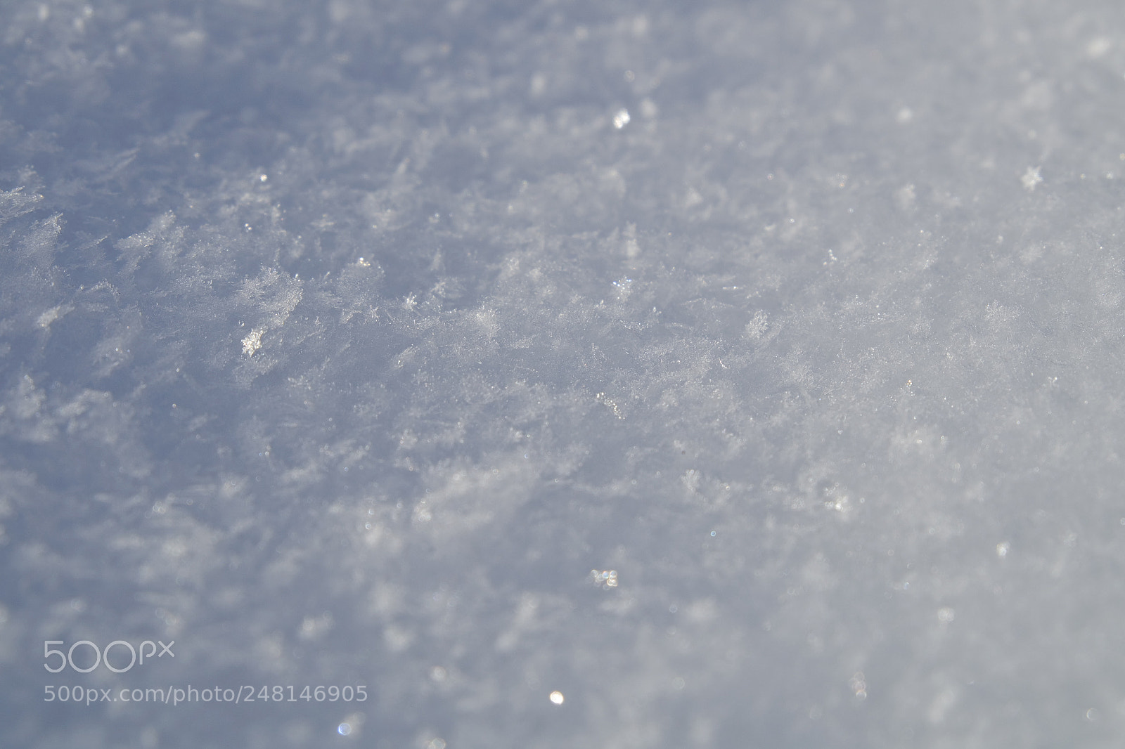 Fujifilm X-A10 sample photo. Snow cover photography