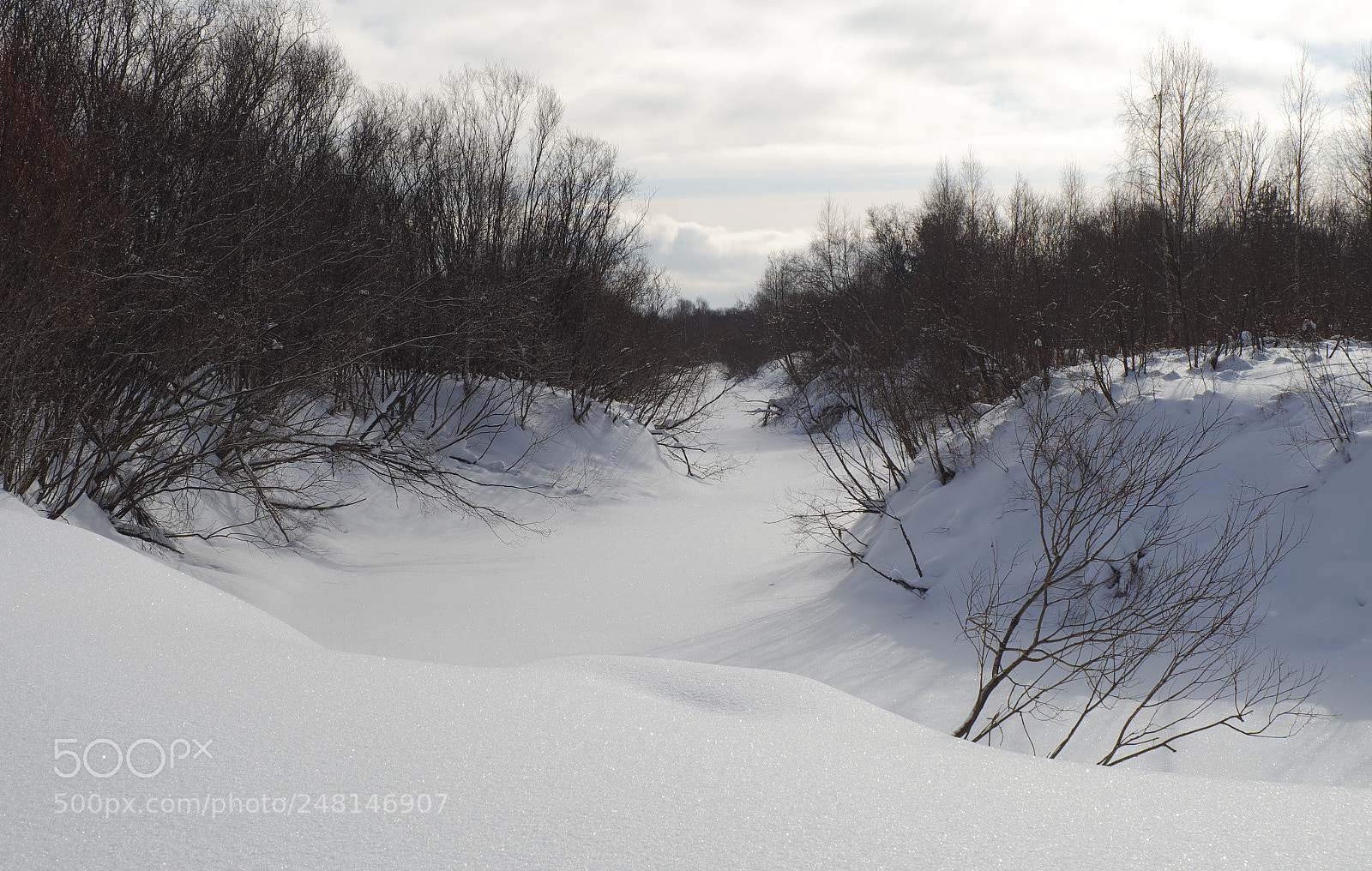 Fujifilm X-A10 sample photo. River under the snow photography