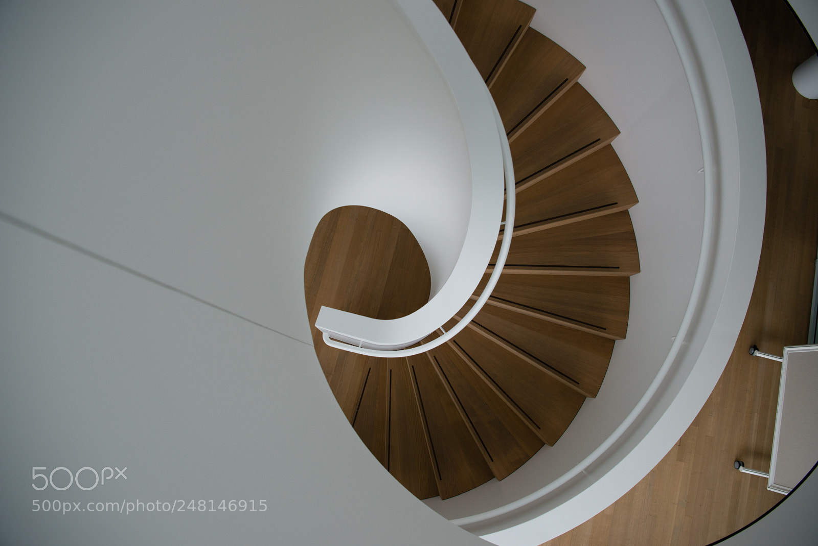 Nikon D800 sample photo. Spiral staircase photography