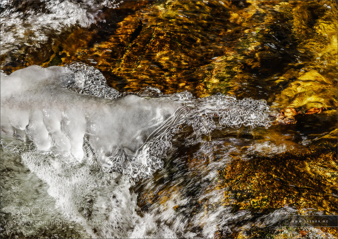 Sony a99 II sample photo. Abstract close-up view of photography