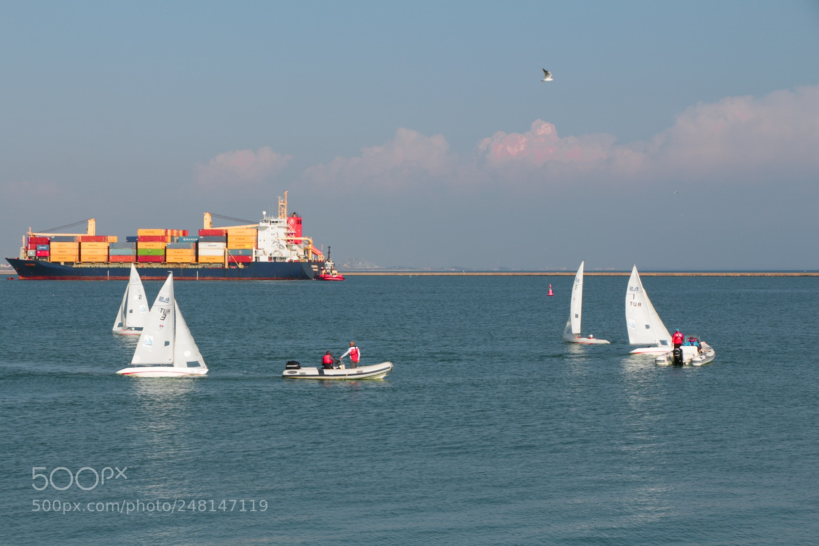 Canon EOS 700D (EOS Rebel T5i / EOS Kiss X7i) sample photo. Struggle at sea photography