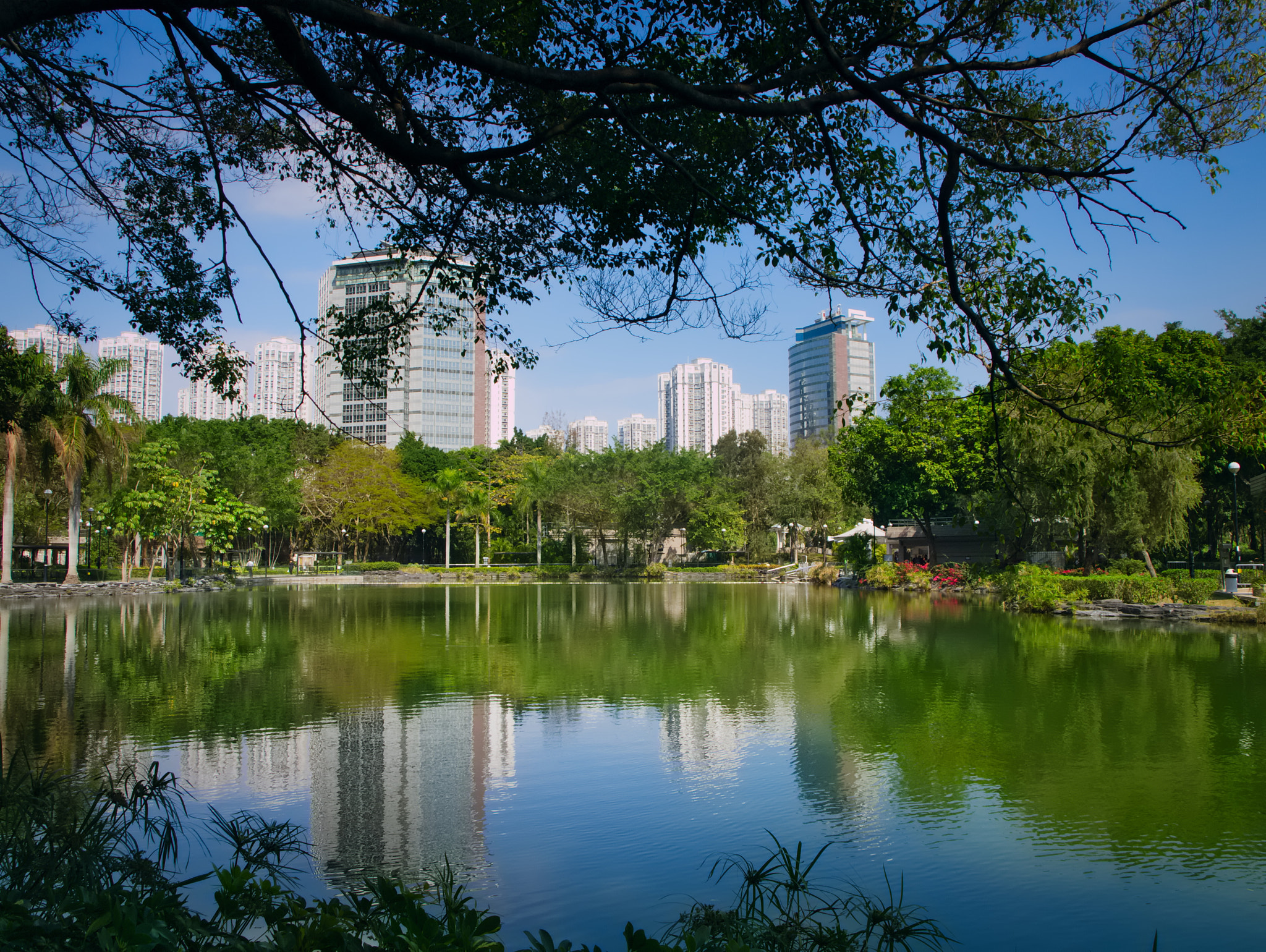 Olympus E-410 (EVOLT E-410) sample photo. Tin shui wai lake photography