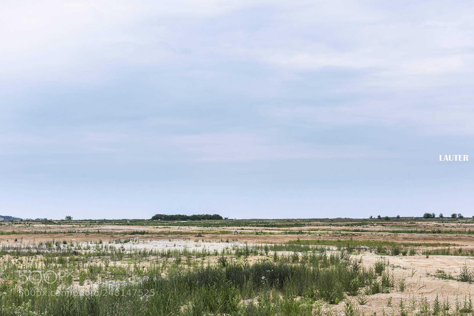 Nikon D810 sample photo. Dalian photography