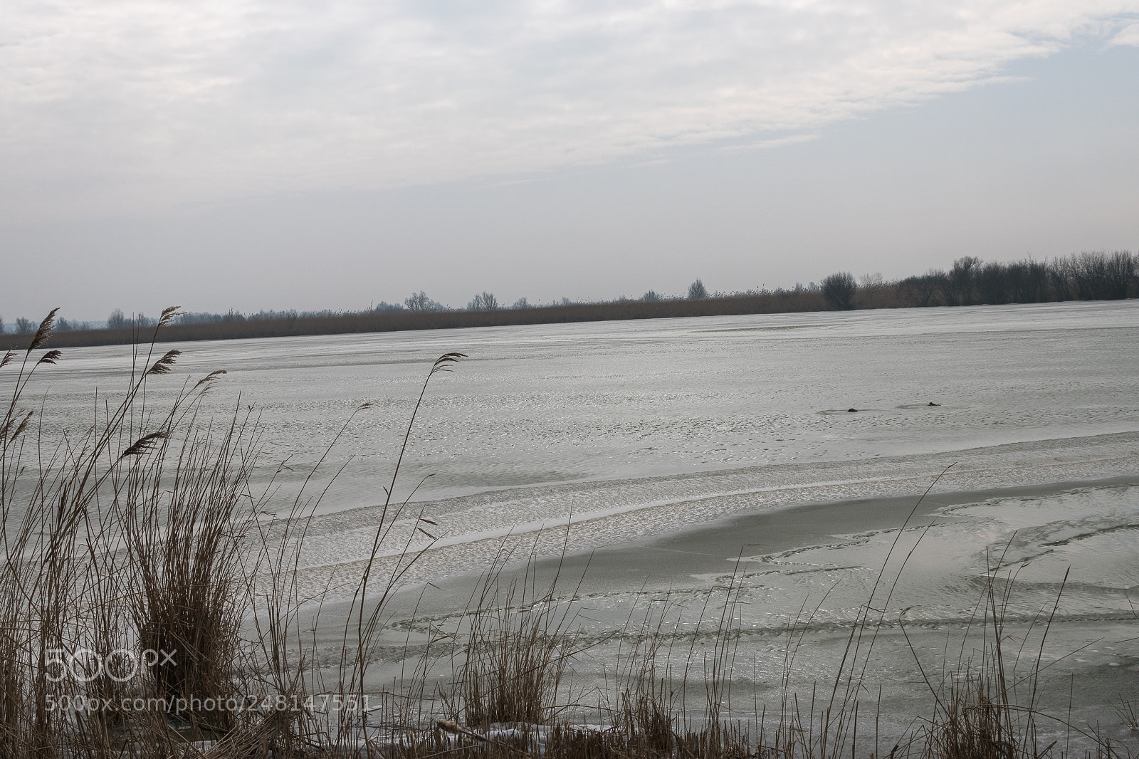 Nikon D5500 sample photo. Last of winter photography