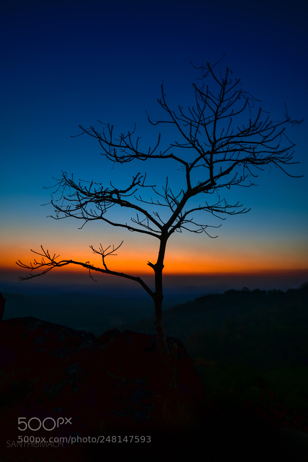 Nikon D850 sample photo. Mesmerizing golden hour photography