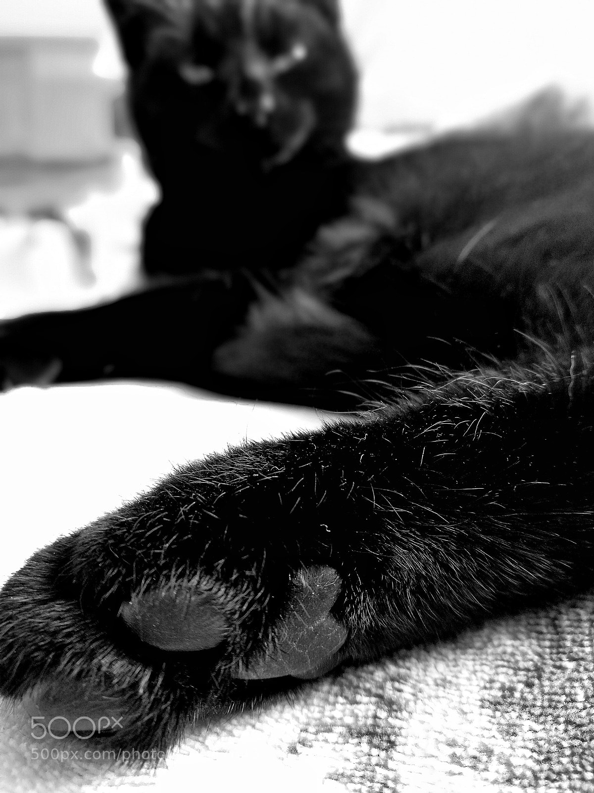HUAWEI P9 sample photo. Untitled photography