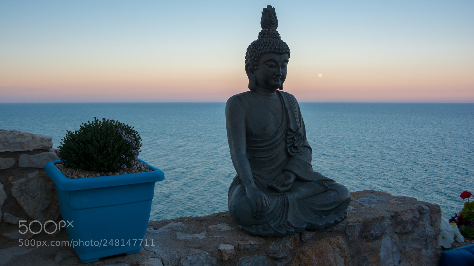 Nikon D7100 sample photo. Pastel buddha photography