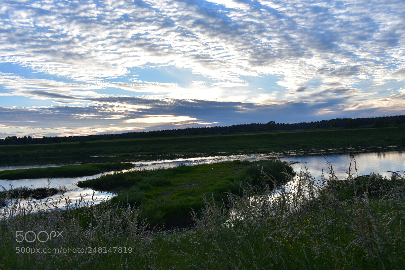 Nikon D3400 sample photo. Untitled photography