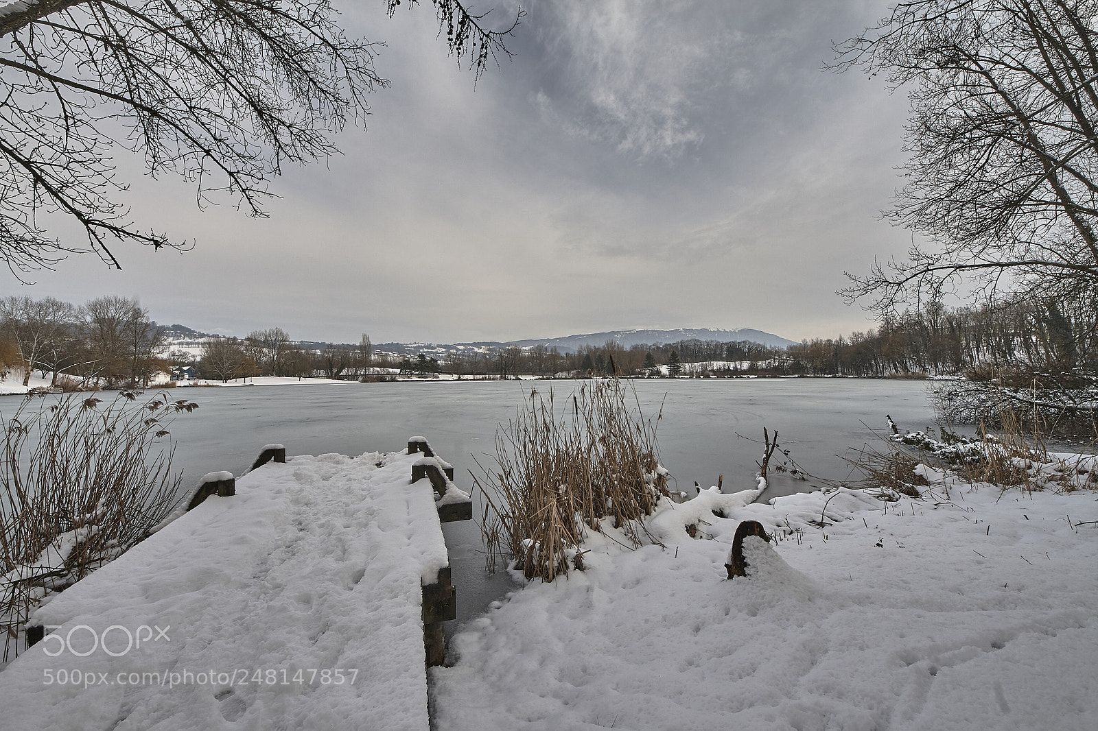 Canon EOS 400D (EOS Digital Rebel XTi / EOS Kiss Digital X) sample photo. Winter colours photography