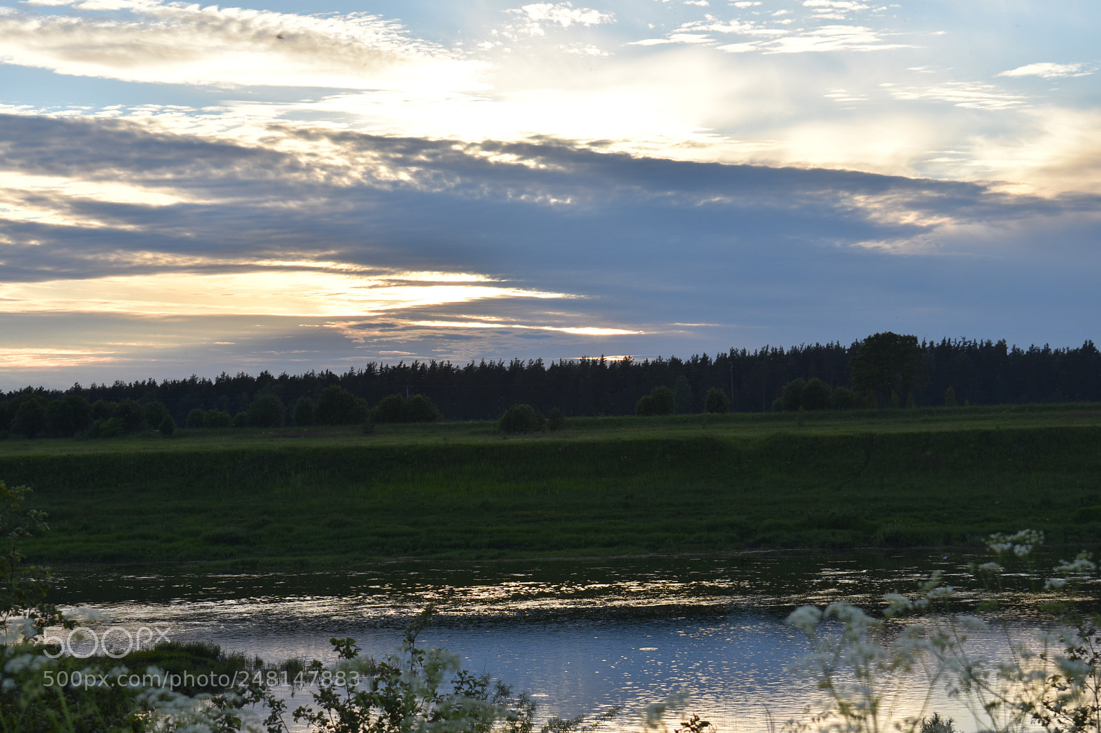Nikon D3400 sample photo. Untitled photography