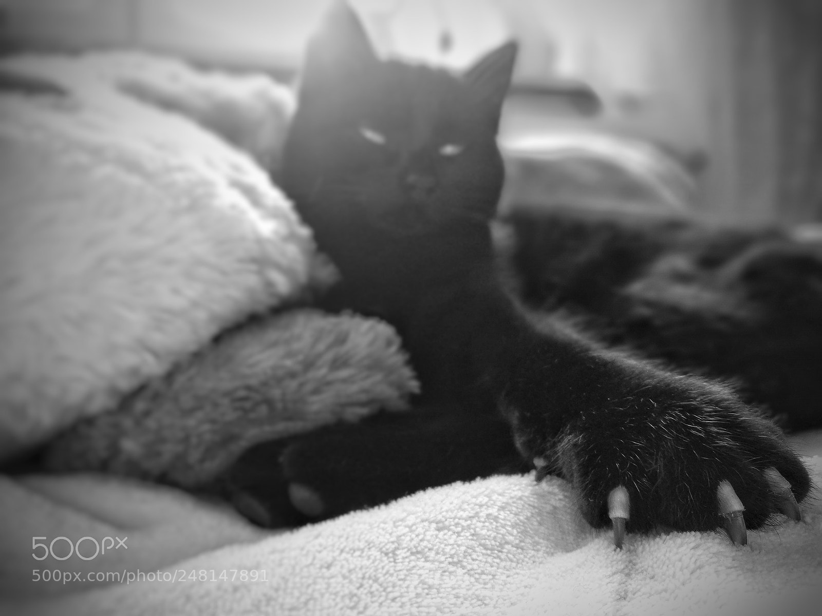 HUAWEI P9 sample photo. Untitled photography