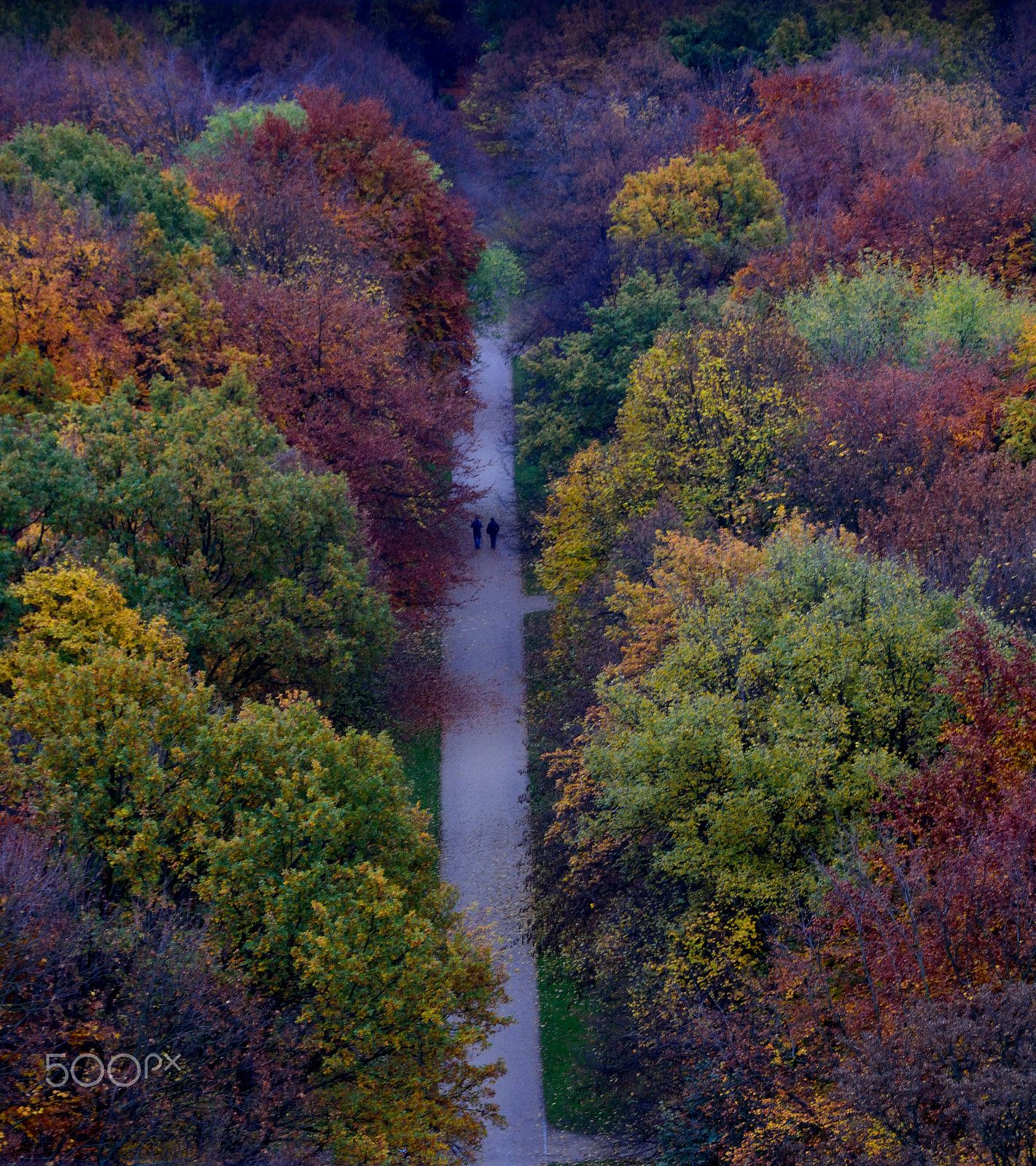 Nikon D5200 sample photo. Human nature photography