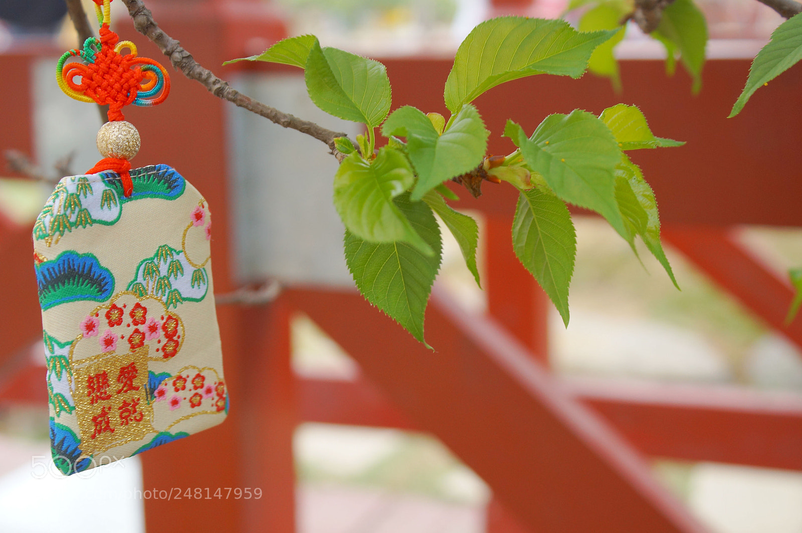 Sony Alpha NEX-3N sample photo. Dsc photography