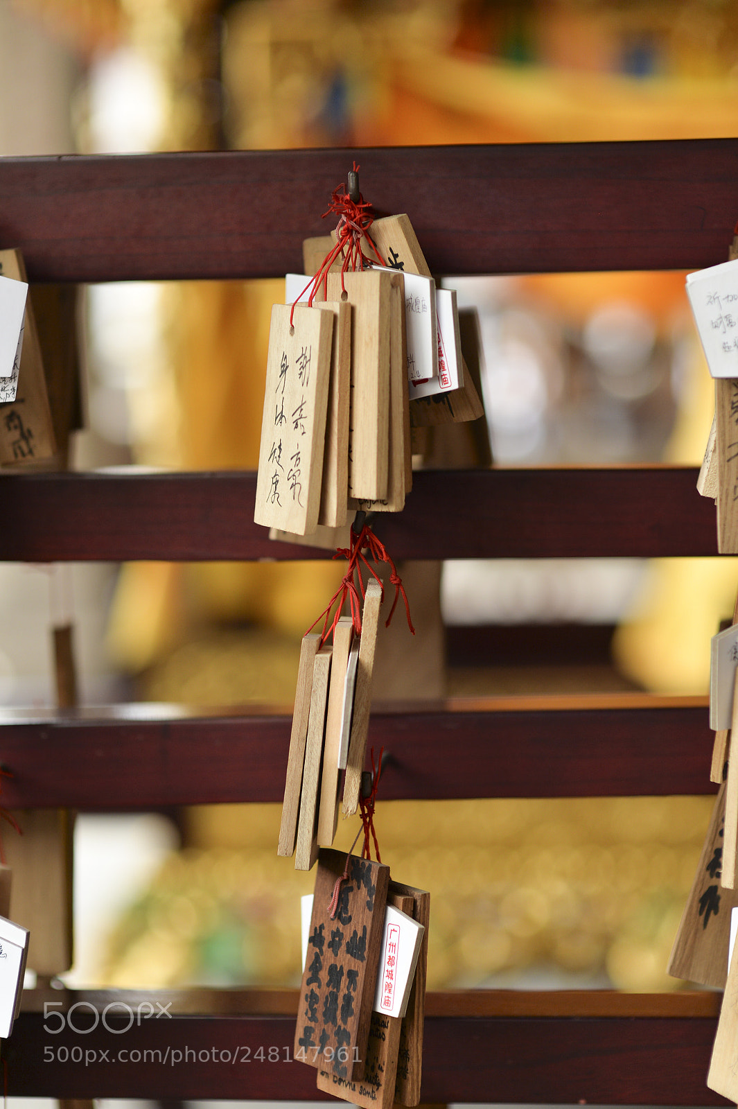 Nikon Df sample photo. Untitled photography